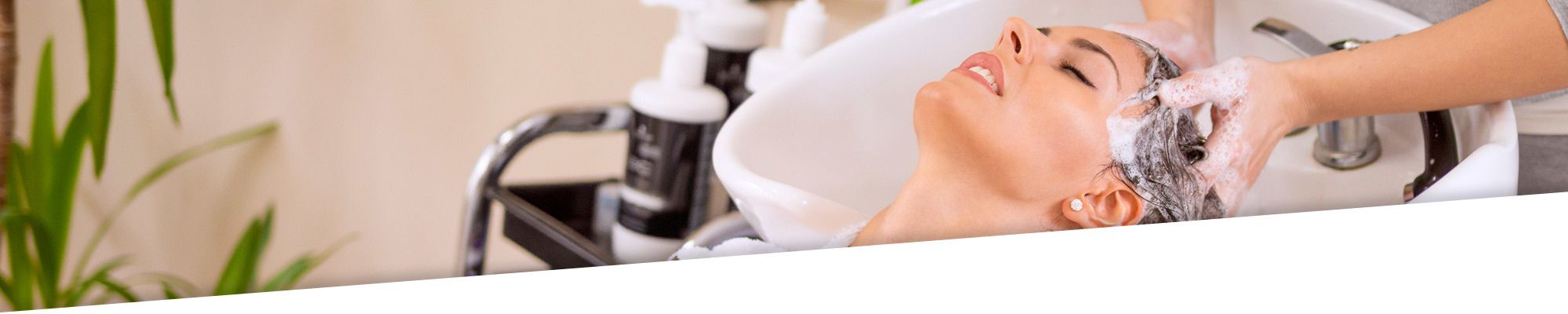 Relax arrangementen